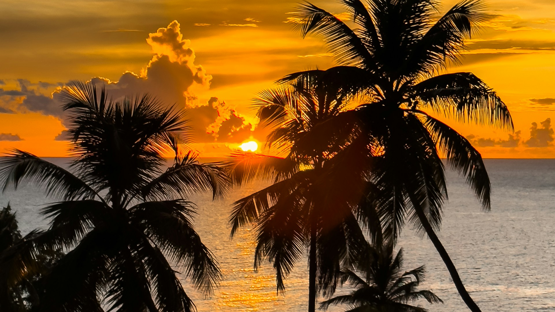 Atardecer sobre el Caribe desde Isla Fuerte