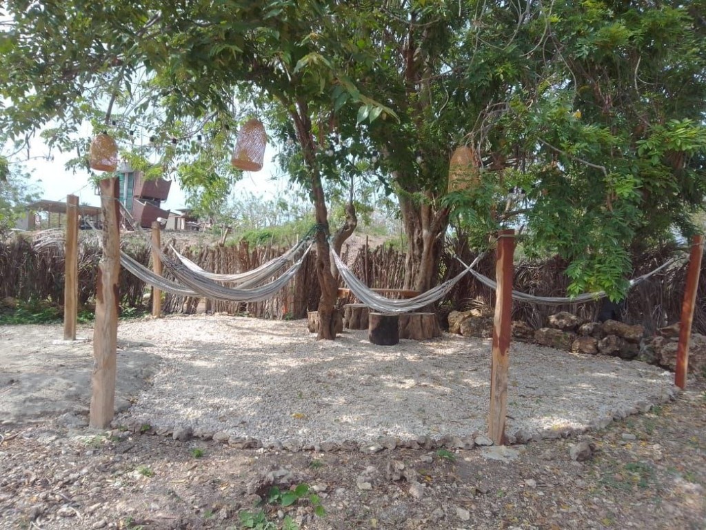 Zona de hamacas bajo un árbol grande
